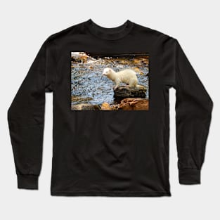 His Court of Cold Stones Long Sleeve T-Shirt